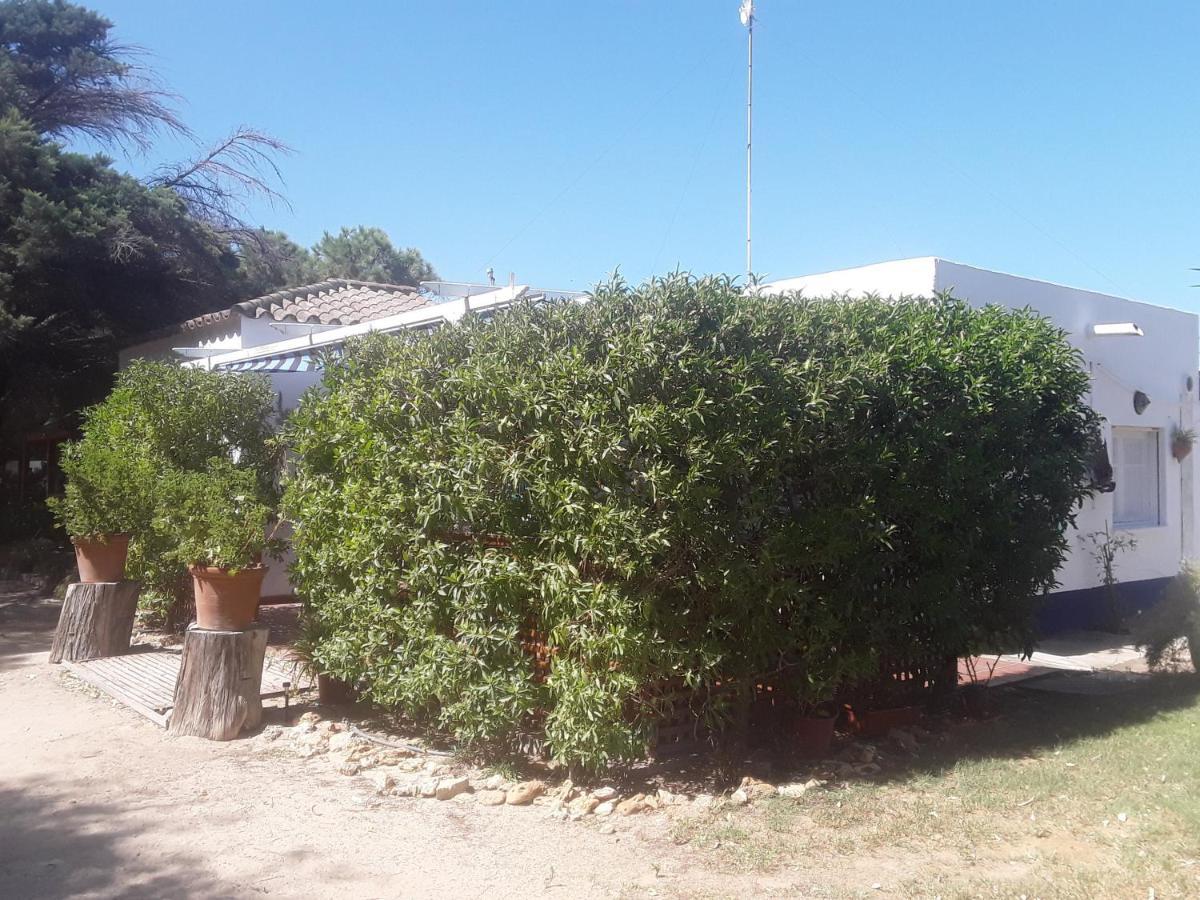 En Finca Las Dunas Dos Chalets Con Jacuzzis En Primera Linea De Playa , Uno De 4 Dormitorios Y Otro De 2 Dormitorios, Llama Al Seiscientos Veintisiete Cuatrocientos Diecisiete Trescientos Noventa Y Ocho Rota Eksteriør billede