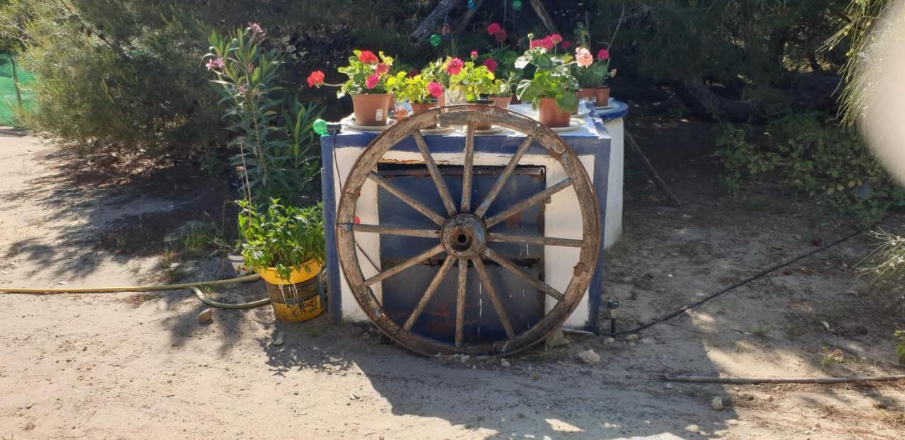 En Finca Las Dunas Dos Chalets Con Jacuzzis En Primera Linea De Playa , Uno De 4 Dormitorios Y Otro De 2 Dormitorios, Llama Al Seiscientos Veintisiete Cuatrocientos Diecisiete Trescientos Noventa Y Ocho Rota Eksteriør billede