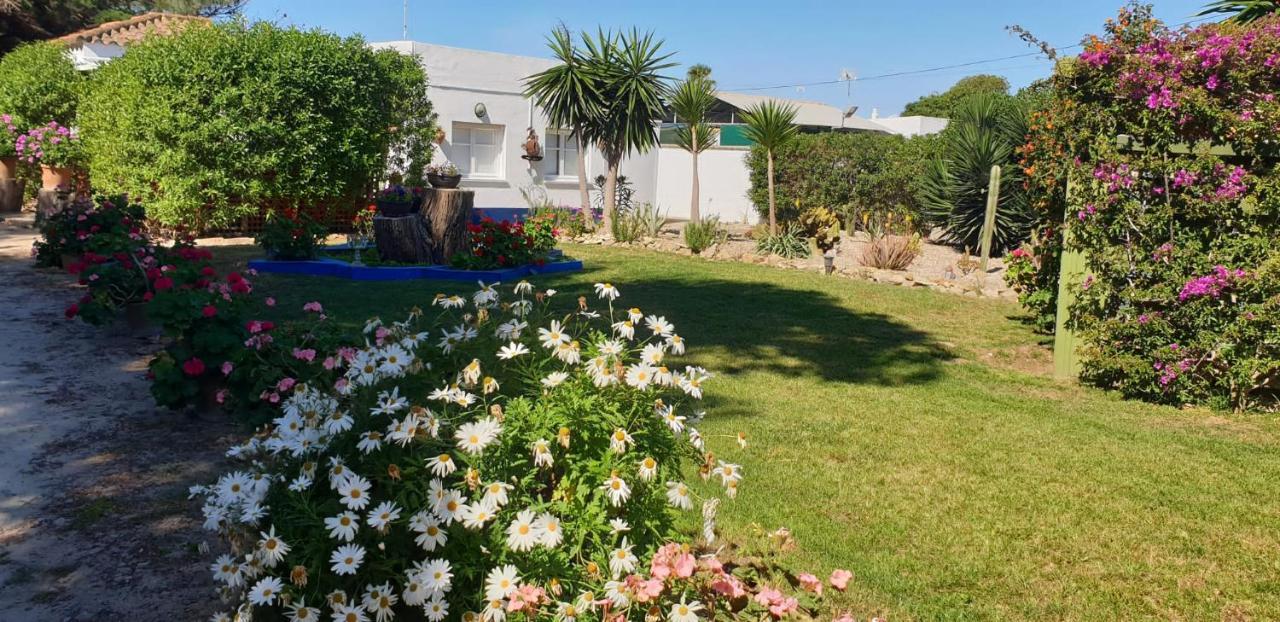 En Finca Las Dunas Dos Chalets Con Jacuzzis En Primera Linea De Playa , Uno De 4 Dormitorios Y Otro De 2 Dormitorios, Llama Al Seiscientos Veintisiete Cuatrocientos Diecisiete Trescientos Noventa Y Ocho Rota Eksteriør billede
