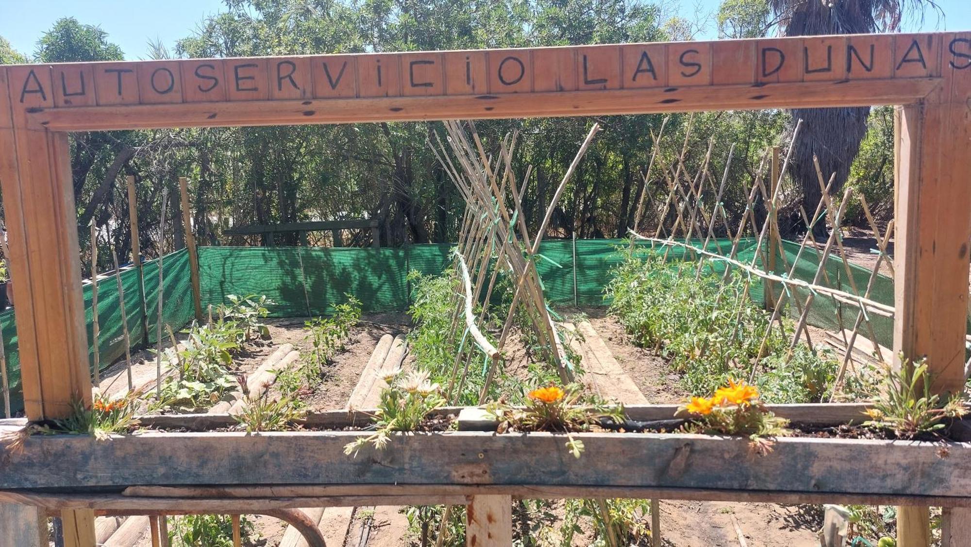 En Finca Las Dunas Dos Chalets Con Jacuzzis En Primera Linea De Playa , Uno De 4 Dormitorios Y Otro De 2 Dormitorios, Llama Al Seiscientos Veintisiete Cuatrocientos Diecisiete Trescientos Noventa Y Ocho Rota Værelse billede