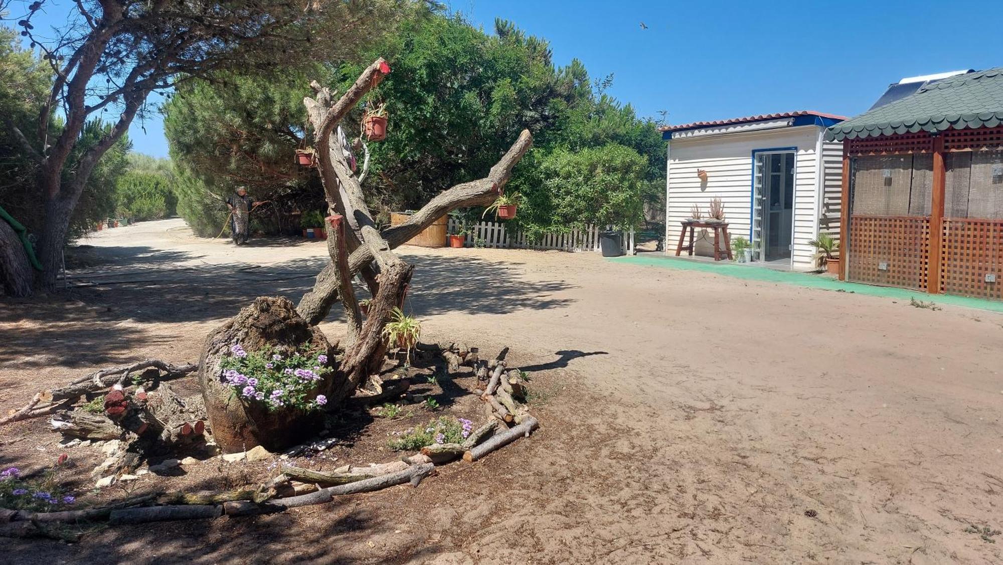 En Finca Las Dunas Dos Chalets Con Jacuzzis En Primera Linea De Playa , Uno De 4 Dormitorios Y Otro De 2 Dormitorios, Llama Al Seiscientos Veintisiete Cuatrocientos Diecisiete Trescientos Noventa Y Ocho Rota Eksteriør billede