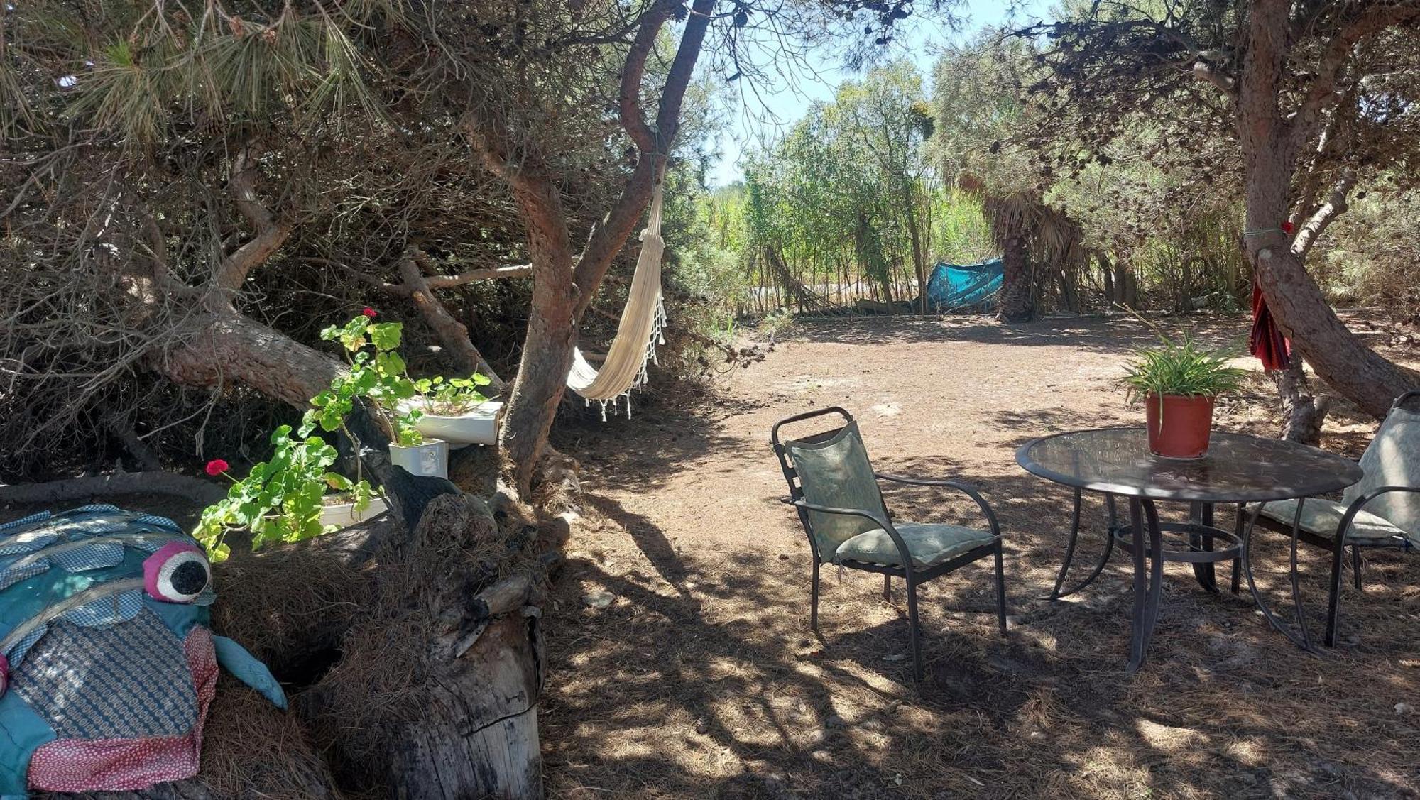 En Finca Las Dunas Dos Chalets Con Jacuzzis En Primera Linea De Playa , Uno De 4 Dormitorios Y Otro De 2 Dormitorios, Llama Al Seiscientos Veintisiete Cuatrocientos Diecisiete Trescientos Noventa Y Ocho Rota Eksteriør billede