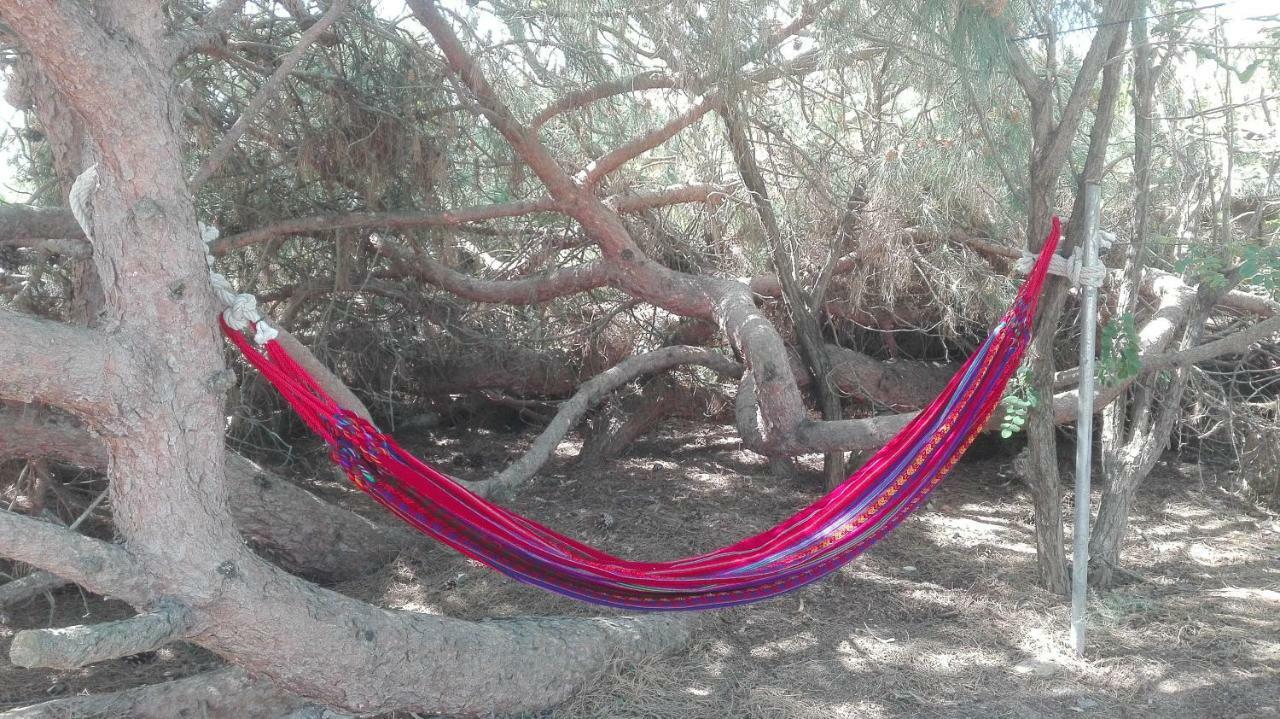 En Finca Las Dunas Dos Chalets Con Jacuzzis En Primera Linea De Playa , Uno De 4 Dormitorios Y Otro De 2 Dormitorios, Llama Al Seiscientos Veintisiete Cuatrocientos Diecisiete Trescientos Noventa Y Ocho Rota Eksteriør billede