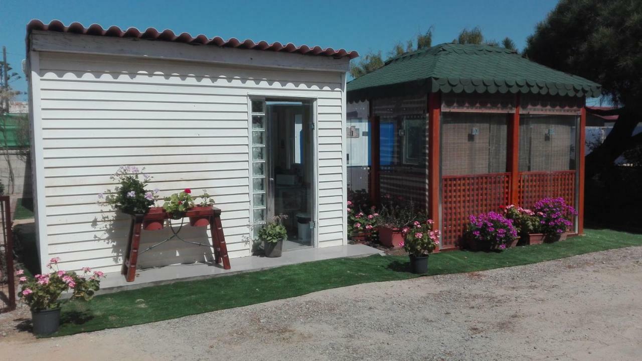 En Finca Las Dunas Dos Chalets Con Jacuzzis En Primera Linea De Playa , Uno De 4 Dormitorios Y Otro De 2 Dormitorios, Llama Al Seiscientos Veintisiete Cuatrocientos Diecisiete Trescientos Noventa Y Ocho Rota Eksteriør billede